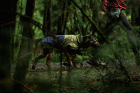 Ruffwear Sun Shower™ Coverall Dog Rain Suit